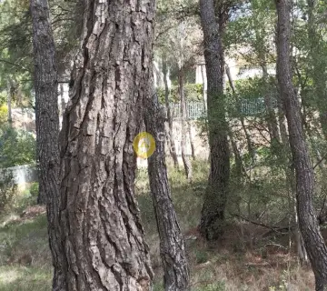 Οικιστικό 800τ.μ. προς πώληση φωτογραφία 8