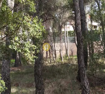 Οικιστικό 800τ.μ. προς πώληση φωτογραφία 9