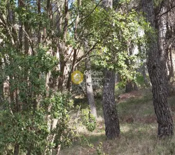 Οικιστικό 800τ.μ. προς πώληση φωτογραφία 10