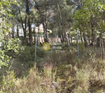 Οικιστικό 800τ.μ. προς πώληση φωτογραφία 13