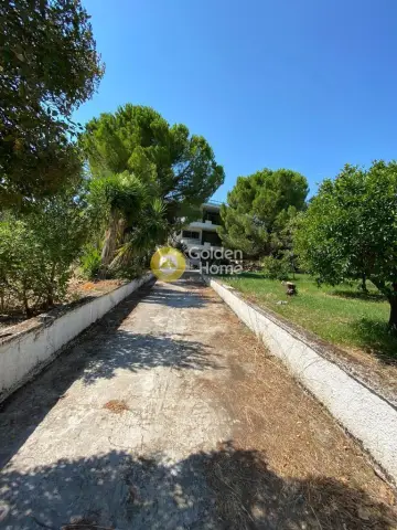 Building 285m<sup>2</sup> for sale photo 11