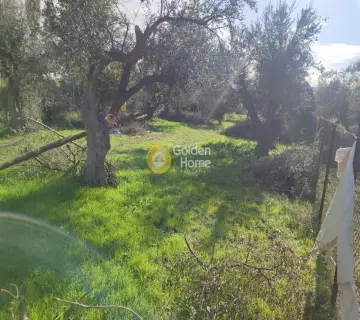 Residential 3600m<sup>2</sup> for sale photo 4630550
