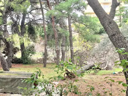 Οικιστικό 848τ.μ. προς πώληση φωτογραφία 5