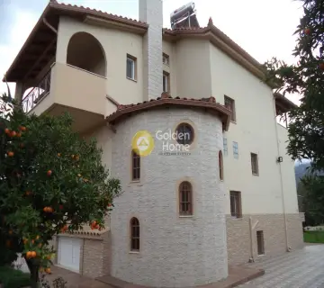 Golden Home Property Image