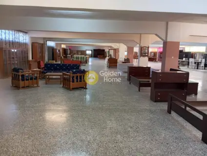Αυτόνομο Κτίριο 6700τ.μ. προς πώληση φωτογραφία 21