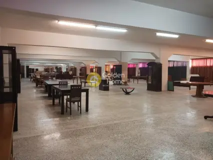 Αυτόνομο Κτίριο 6700τ.μ. προς πώληση φωτογραφία 30