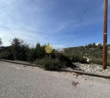Οικιστικό 1000τ.μ. προς πώληση φωτογραφία 4637215