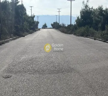 Οικιστικό 1000τ.μ. προς πώληση φωτογραφία 4637219