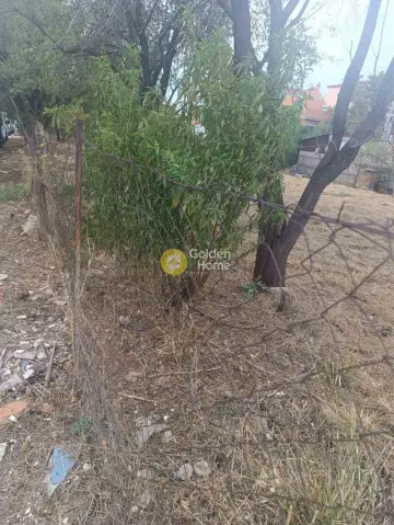 Οικιστικό 1750τ.μ. προς πώληση φωτογραφία 4