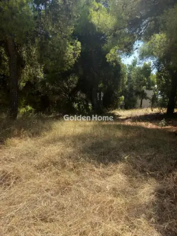 Οικιστικό 1200τ.μ. προς πώληση φωτογραφία 5601082