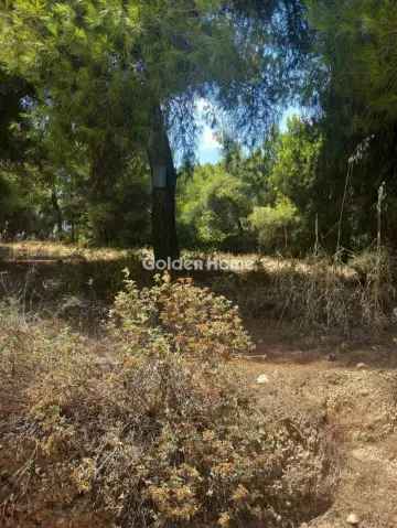Οικιστικό 1200τ.μ. προς πώληση φωτογραφία 5601079