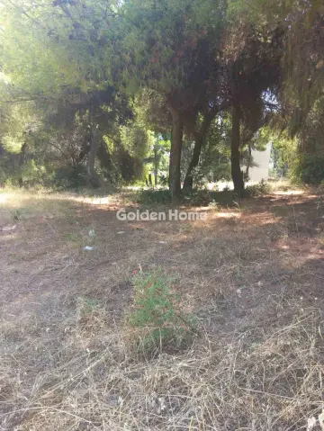 Οικιστικό 1200τ.μ. προς πώληση φωτογραφία 5601080