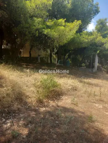 Οικιστικό 1200τ.μ. προς πώληση φωτογραφία 5601083