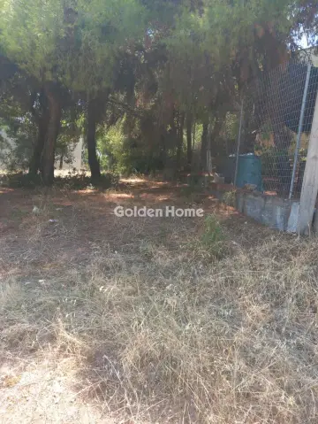 Οικιστικό 1200τ.μ. προς πώληση φωτογραφία 5601087