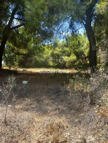 Οικιστικό 1200τ.μ. προς πώληση φωτογραφία 5601086