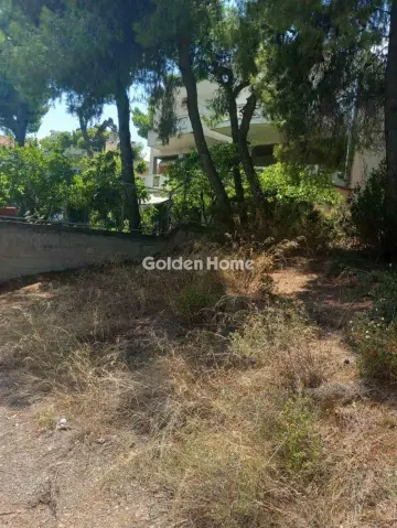 Οικιστικό 1200τ.μ. προς πώληση φωτογραφία 5601084