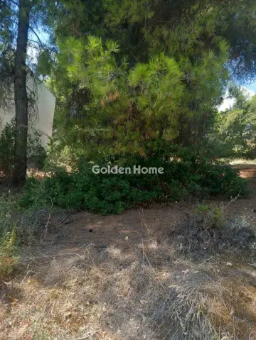 Οικιστικό 1200τ.μ. προς πώληση φωτογραφία 5601085