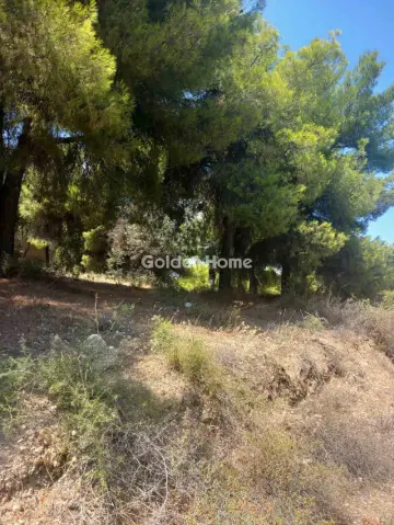 Οικιστικό 1200τ.μ. προς πώληση φωτογραφία 5601088