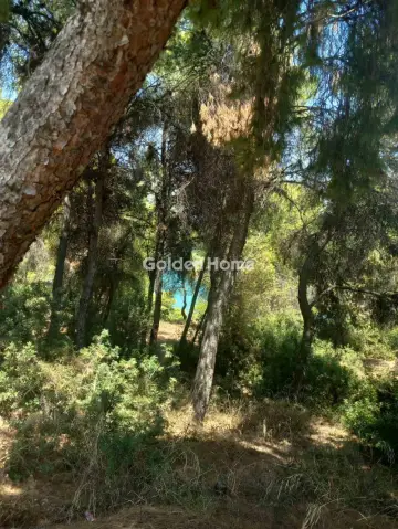 Οικιστικό 1200τ.μ. προς πώληση φωτογραφία 5601089