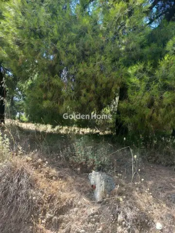 Οικιστικό 1200τ.μ. προς πώληση φωτογραφία 5601091