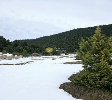 Residential 8000m<sup>2</sup> for sale photo 1