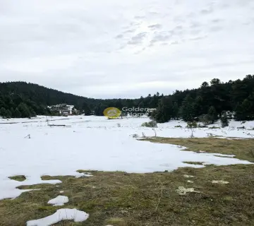 Residential 8000m<sup>2</sup> for sale photo 5