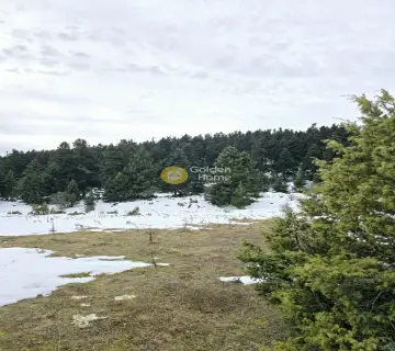Residential 8000m<sup>2</sup> for sale photo 4