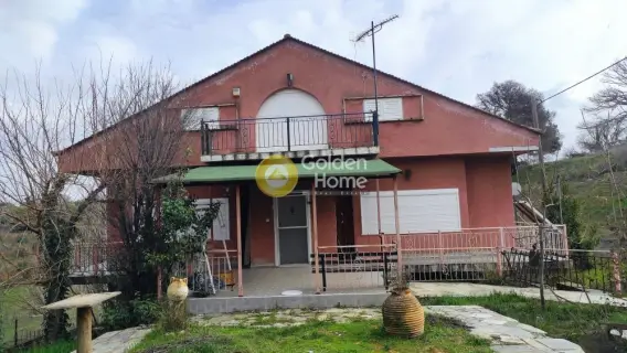 Μονοκατοικία 416τ.μ. προς πώληση φωτογραφία 2