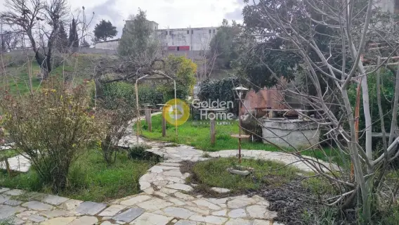 Μονοκατοικία 416τ.μ. προς πώληση φωτογραφία 3