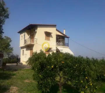 Golden Home Property Image