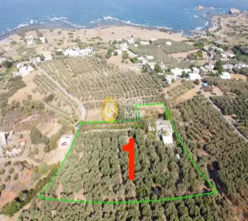 Golden Home Property Image