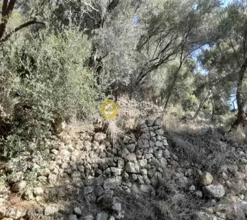 Parcel 5150m<sup>2</sup> for sale photo 4