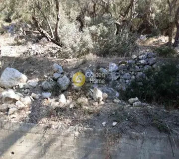 Parcel 5150m<sup>2</sup> for sale photo 5