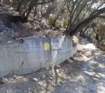 Parcel 5150m<sup>2</sup> for sale photo 6