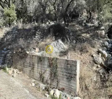 Parcel 5150m<sup>2</sup> for sale photo 8