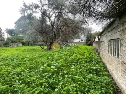 Οικιστικό 1350τ.μ. προς πώληση φωτογραφία 5