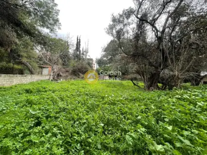 Οικιστικό 1350τ.μ. προς πώληση φωτογραφία 7