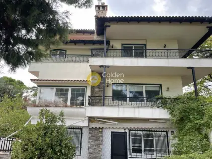 Building 512m<sup>2</sup> for rent photo 60