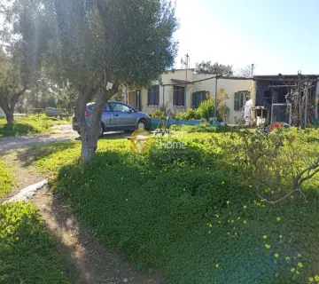 Residential 920m<sup>2</sup> for sale photo 4657136