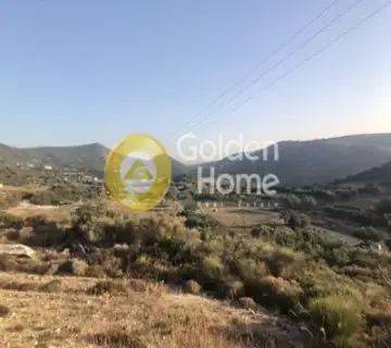 Οικιστικό 21328τ.μ. προς πώληση φωτογραφία 2