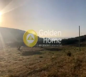Οικιστικό 21328τ.μ. προς πώληση φωτογραφία 1