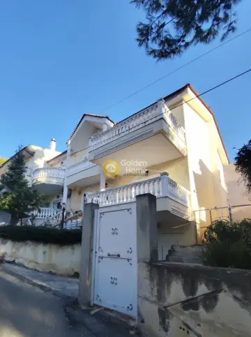 Μονοκατοικία 360τ.μ. προς πώληση φωτογραφία 4894562