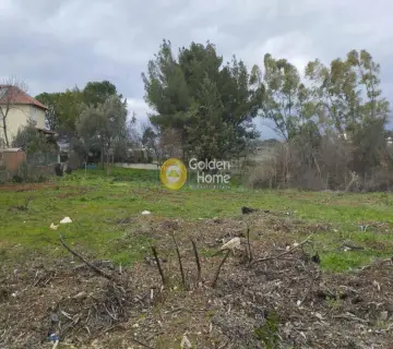 Residential 500m<sup>2</sup> for sale photo 4654876