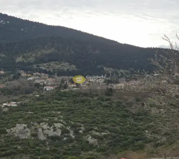 Residential 5300m<sup>2</sup> for sale photo 5