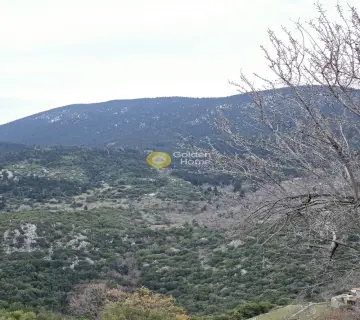 Residential 5300m<sup>2</sup> for sale photo 7