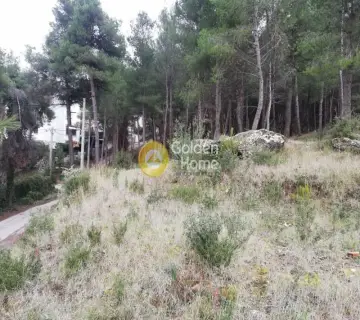 Residential 1540m<sup>2</sup> for sale photo 18