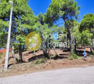 Residential 2000m<sup>2</sup> for sale photo 4657774