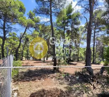 Residential 2000m<sup>2</sup> for sale photo 4657777