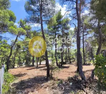 Residential 2000m<sup>2</sup> for sale photo 4657779