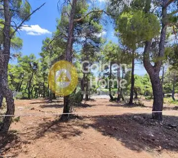 Residential 2000m<sup>2</sup> for sale photo 4657780